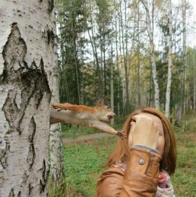 Daily Picdump