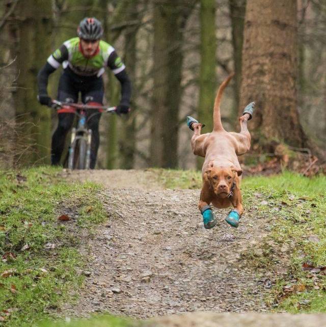 Daily Picdump