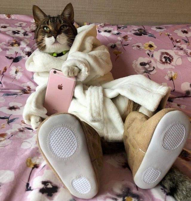 Daily Picdump