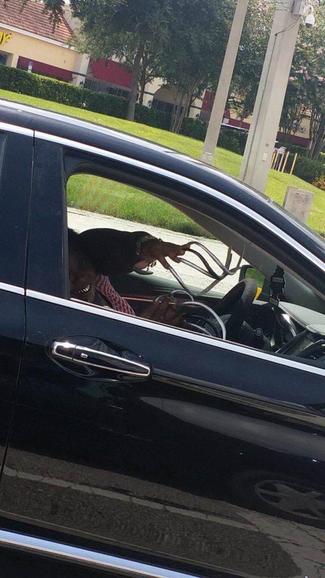 Hard-to-explain WTF Photos