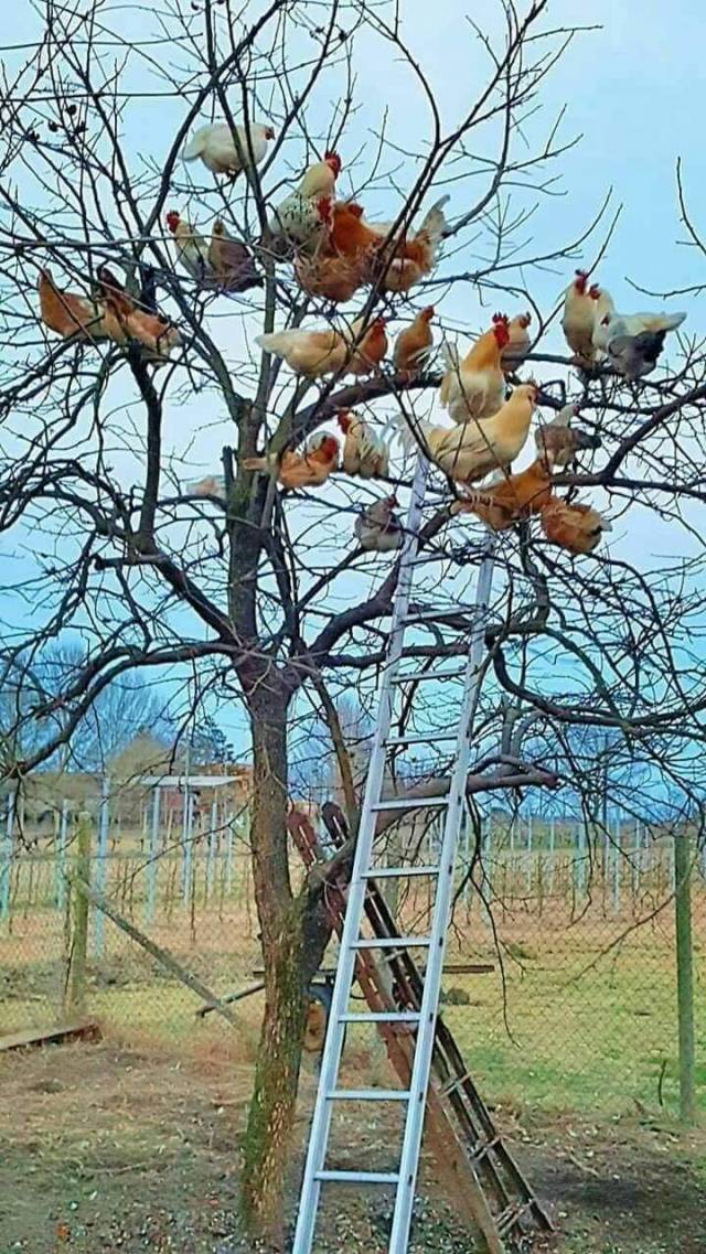 Hard-to-explain WTF Photos