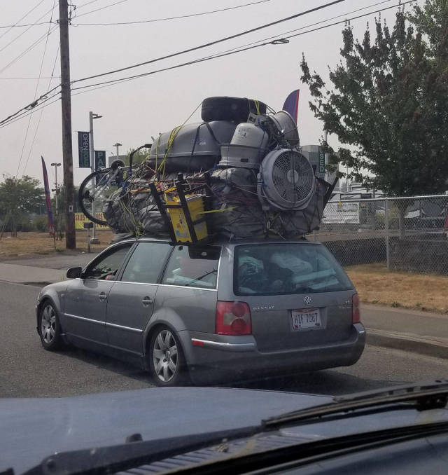 Morning Picdump