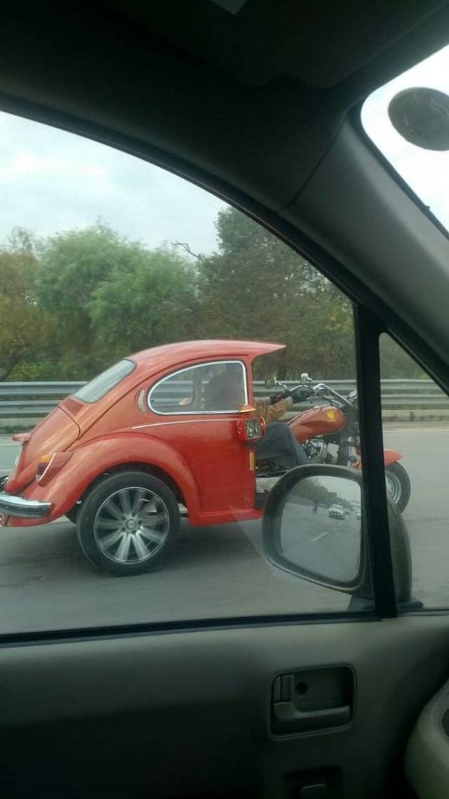 Morning Picdump