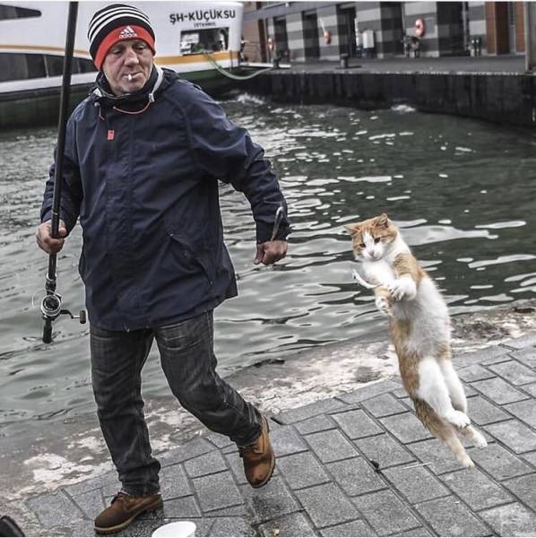 Daily Picdump
