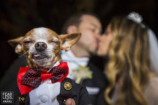 The Best Wedding Photos Of 2018 Show Why You Always Need A Good Photographer At Weddings
