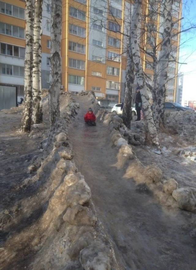 Morning Picdump