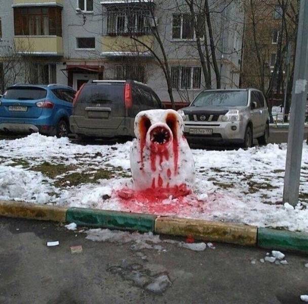 Hard-to-explain WTF Photos