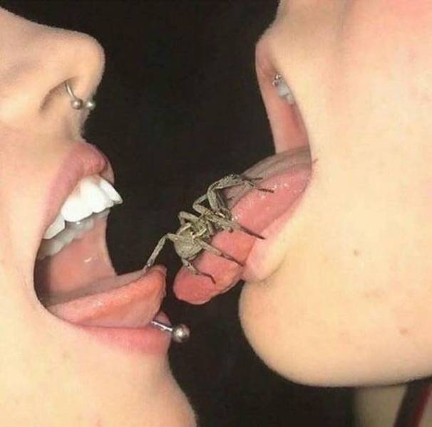 Hard-to-explain WTF Photos
