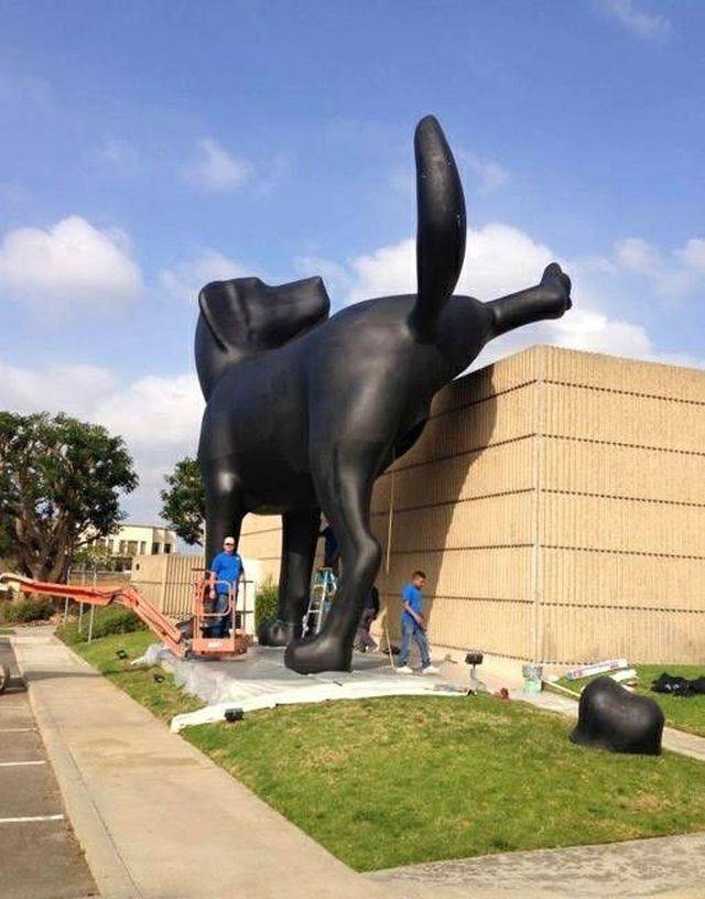 Hard-to-explain WTF Photos