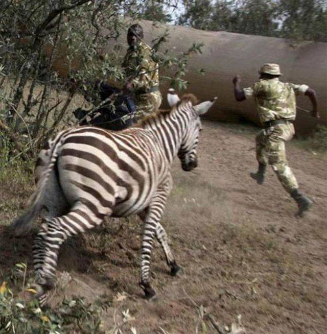 Hard-to-explain WTF Photos