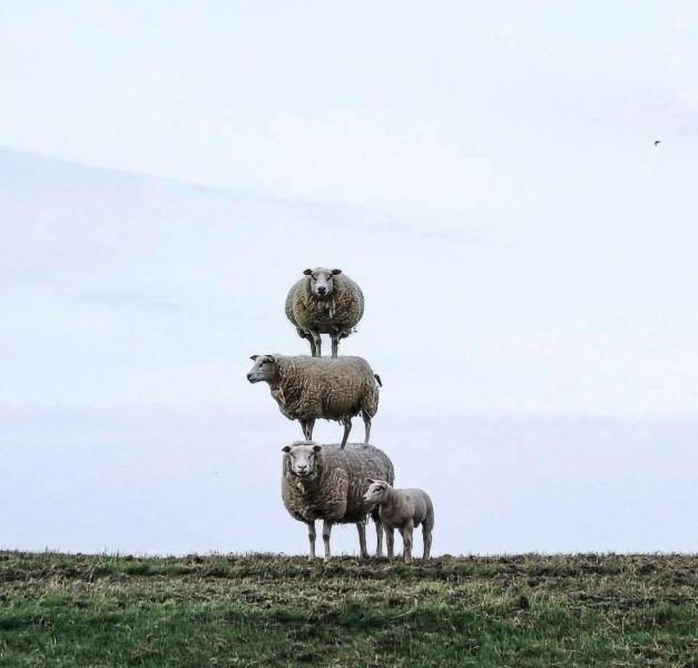 Daily Picdump [WEEKEND EDITION]