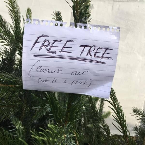 Daily Picdump [WEEKEND EDITION]