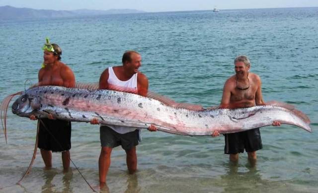 Daily Picdump [WEEKEND EDITION]