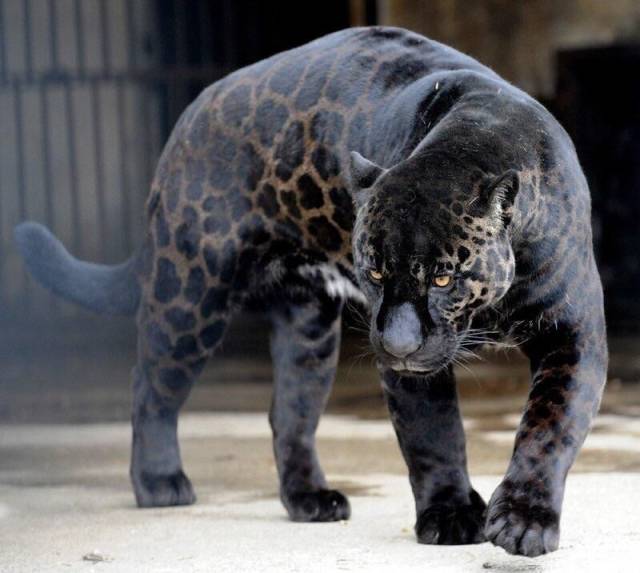 Daily Picdump [WEEKEND EDITION]
