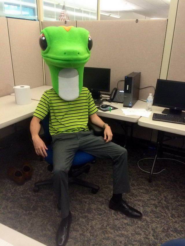 Daily Picdump [NEW YEAR EDITION]