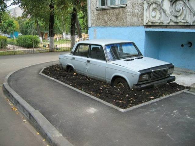 Hard-to-explain WTF Photos