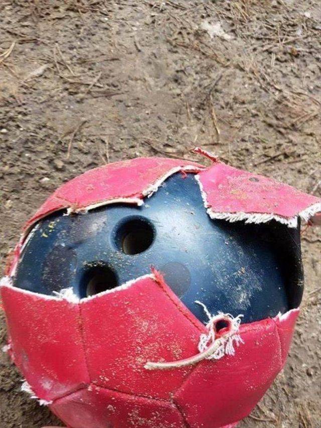 Hard-to-explain WTF Photos