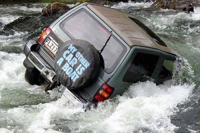 Daily Picdump