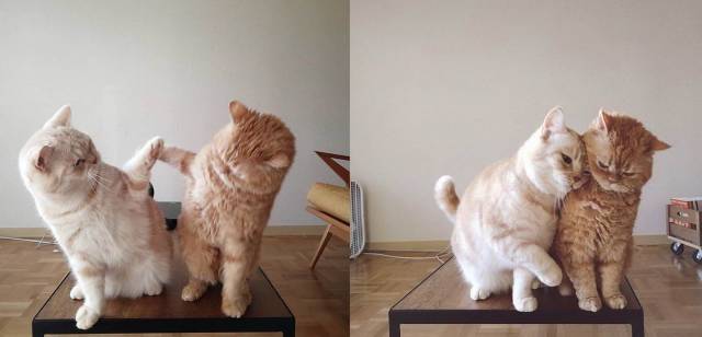 Daily Picdump