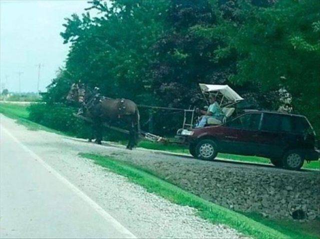 Daily Picdump
