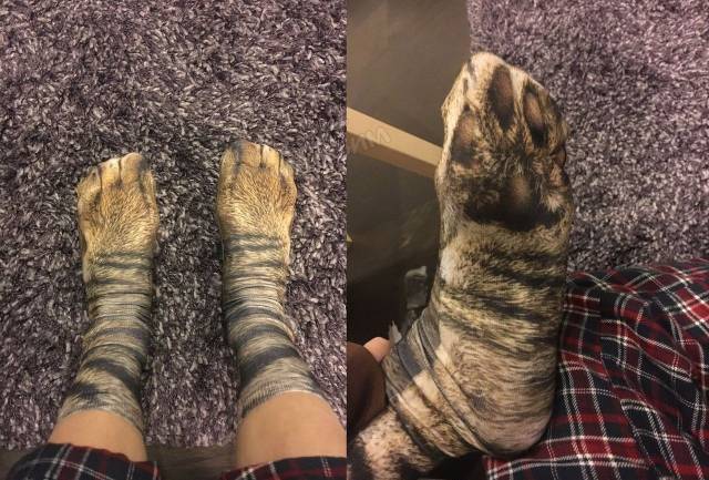Daily Picdump