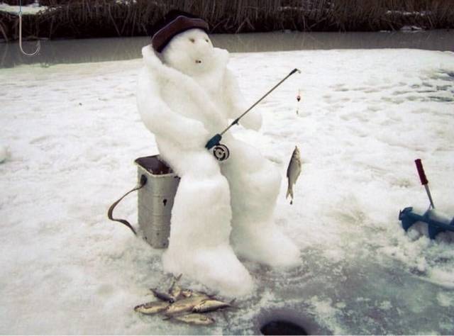Daily Picdump