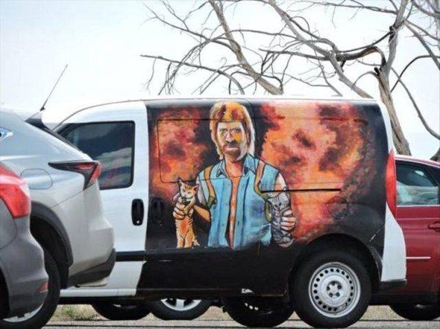 Daily Picdump