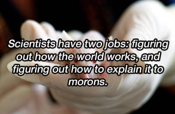 Shower Thoughts To Boggle Your Mind