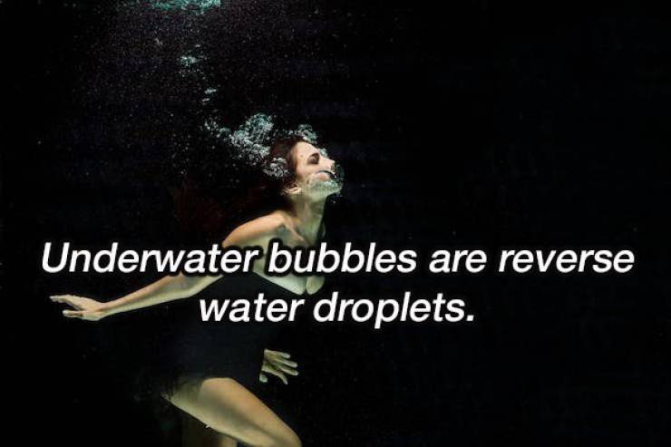 Shower Thoughts To Boggle Your Mind