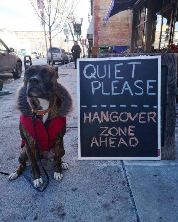 Drunk People Do So Many Stupid Things