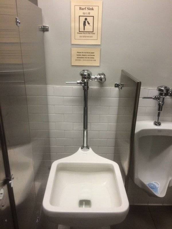 Drunk People Do So Many Stupid Things