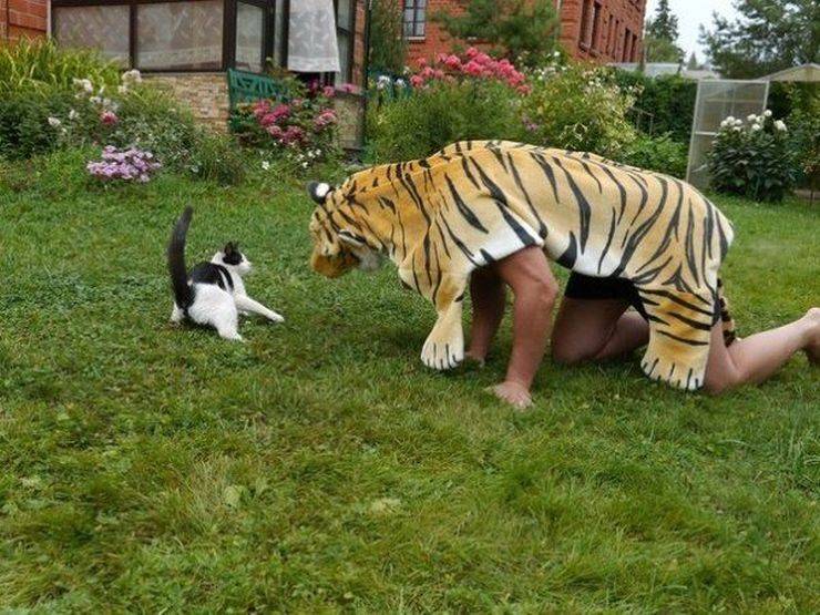 Daily Picdump