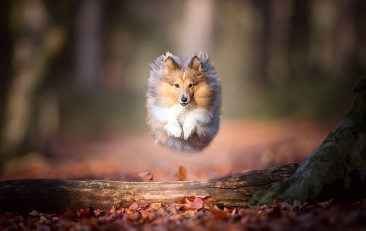 Daily Picdump