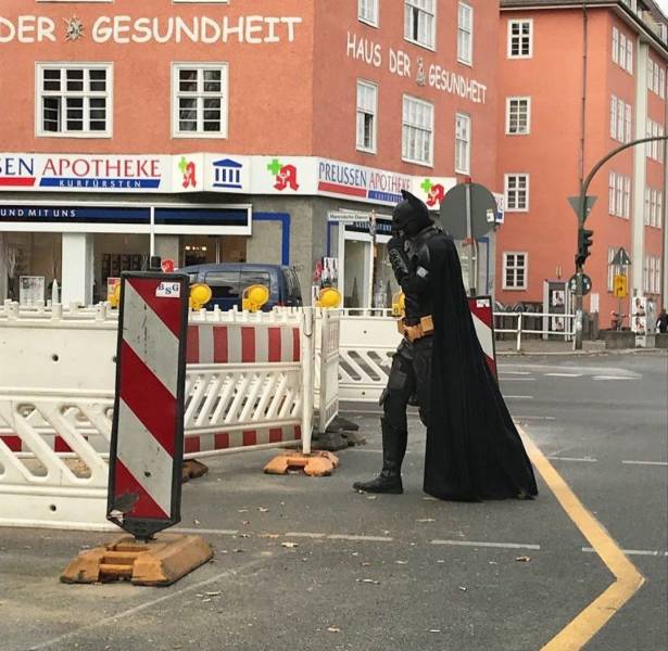 Daily Picdump