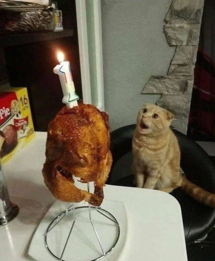 Daily Picdump