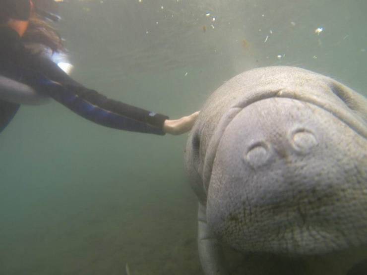 Daily Picdump