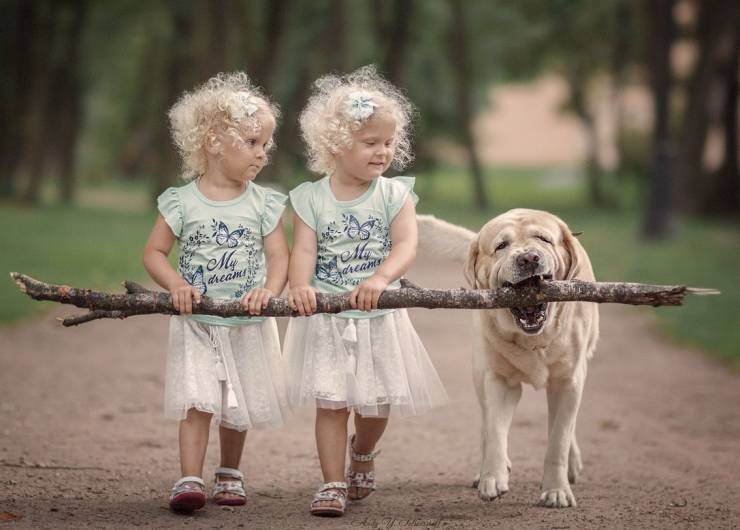 Daily Picdump