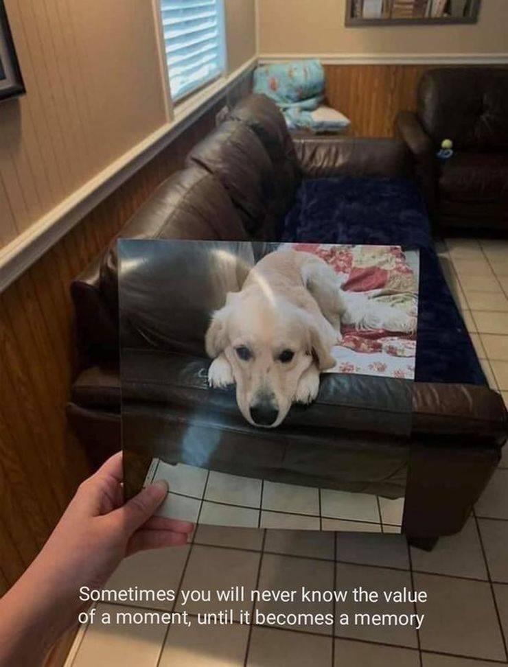 Daily Picdump