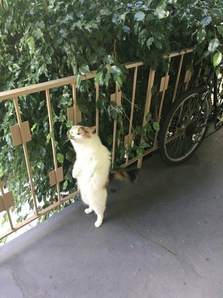 Daily Picdump