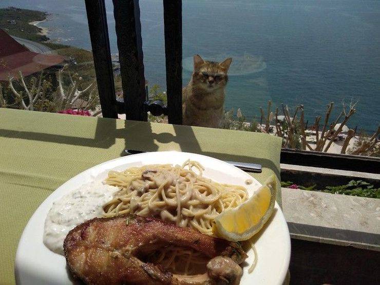 Daily Picdump