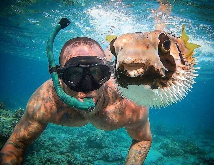 Daily Picdump