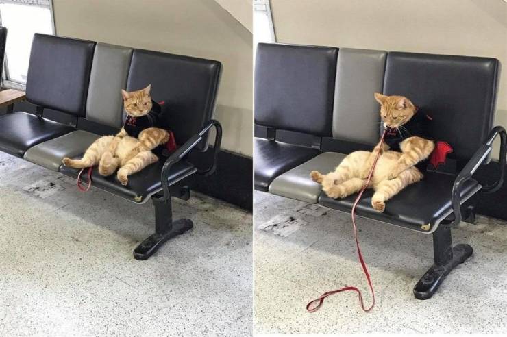Daily Picdump