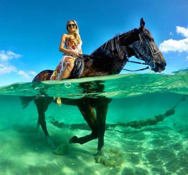 Daily Picdump