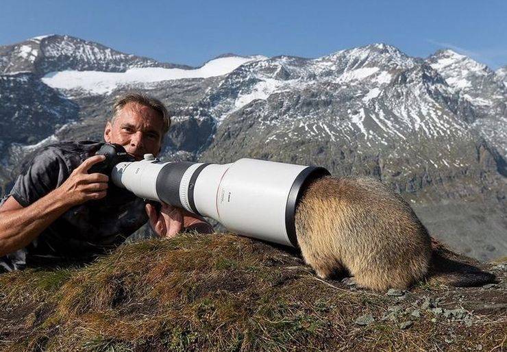 Daily Picdump