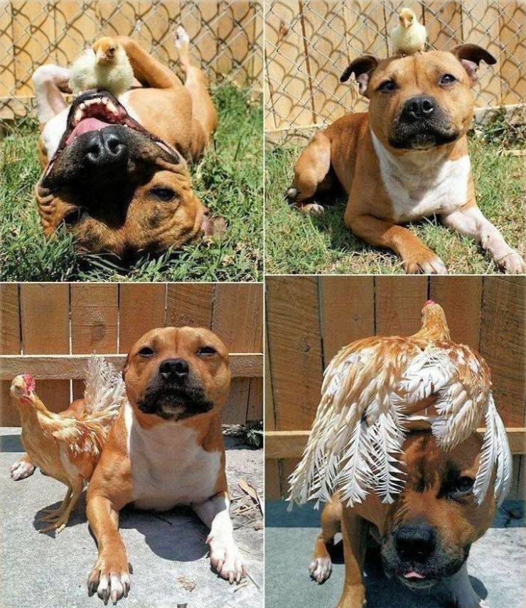 Daily Picdump