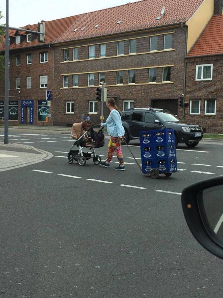 Daily Picdump