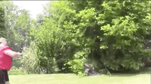 GIFs Look Much Better When Reversed
