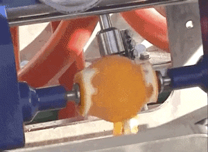 GIFs Look Much Better When Reversed