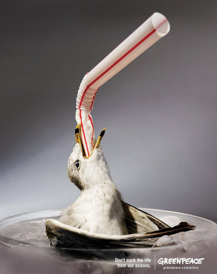Pollution Must Stop!