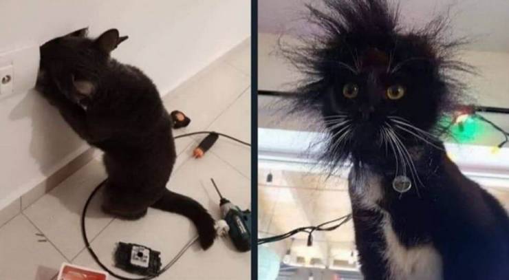 Daily Picdump